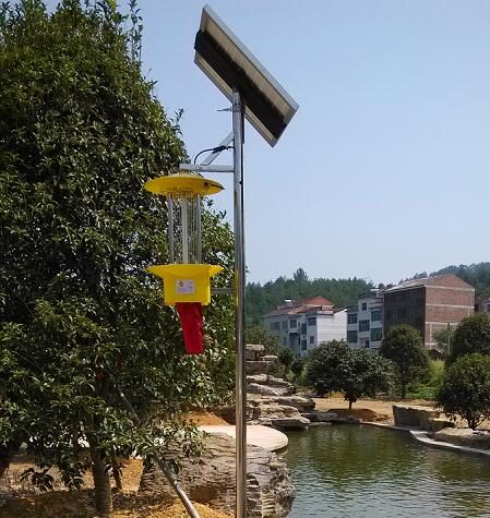 太陽能殺蟲燈在城市綠化中的應用