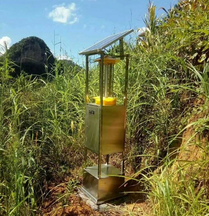 箱體殺蟲燈