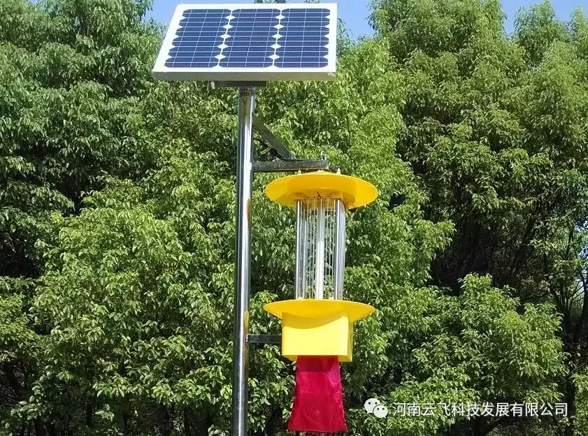 云飛頻振式太陽能殺蟲燈